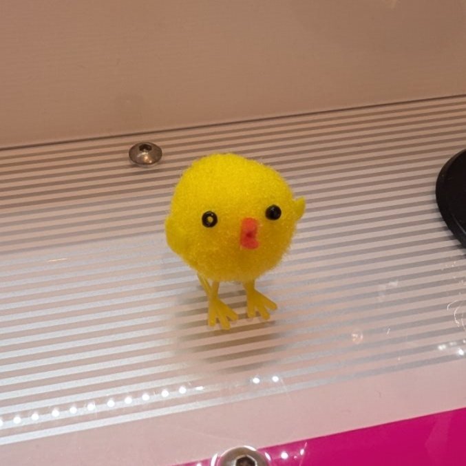 あおけん︎︎︎︎ tweet media