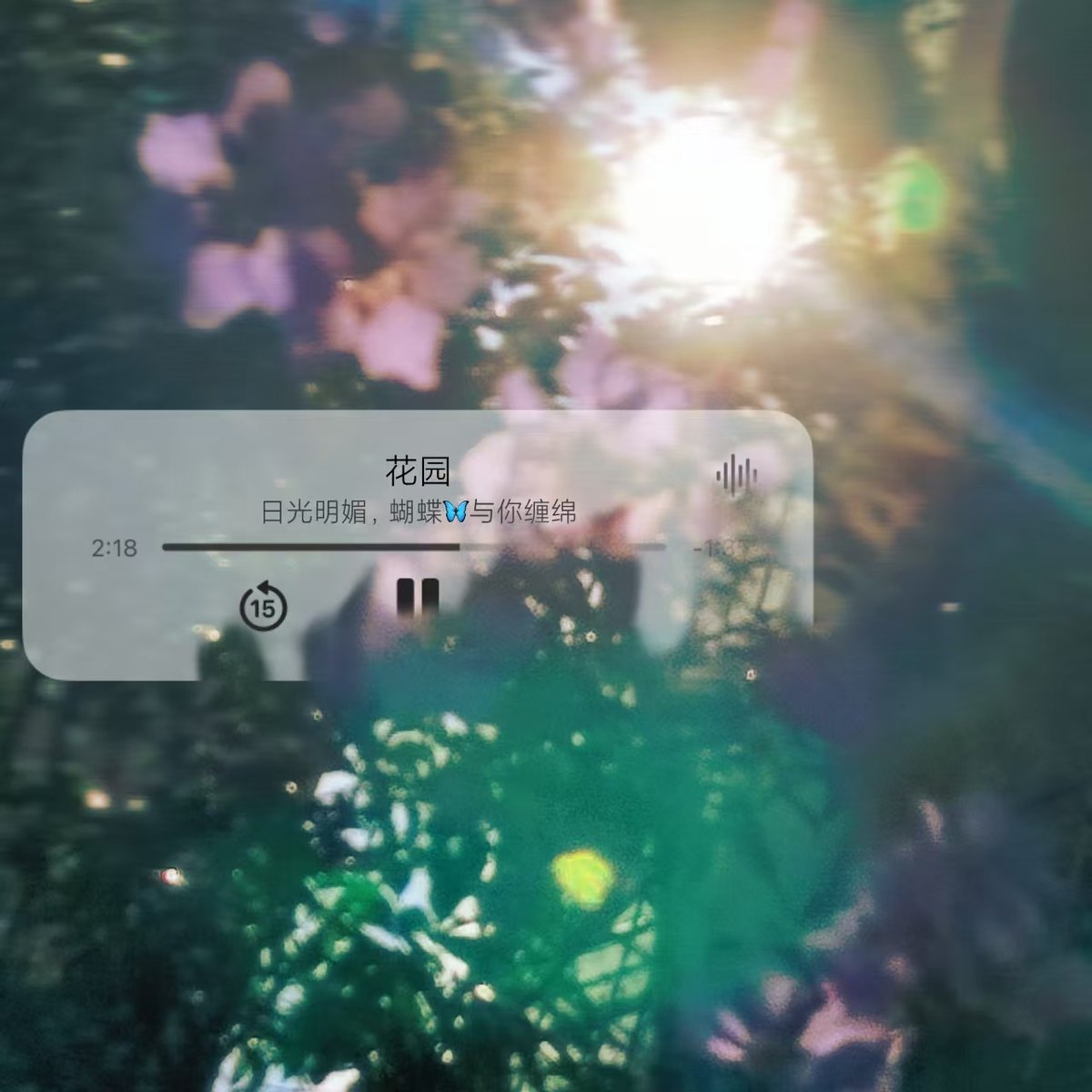 Joy Cheek tweet media