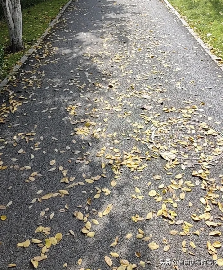 it'sa me tweet media