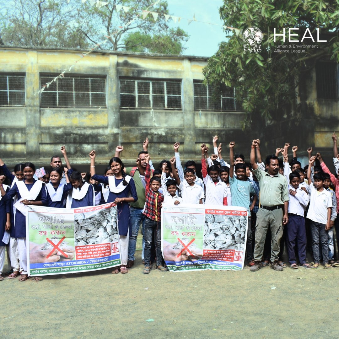 Human & Environment Alliance League tweet media