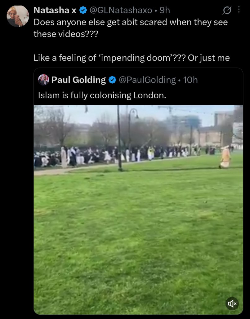 The Cyberpunk Dingo tweet media