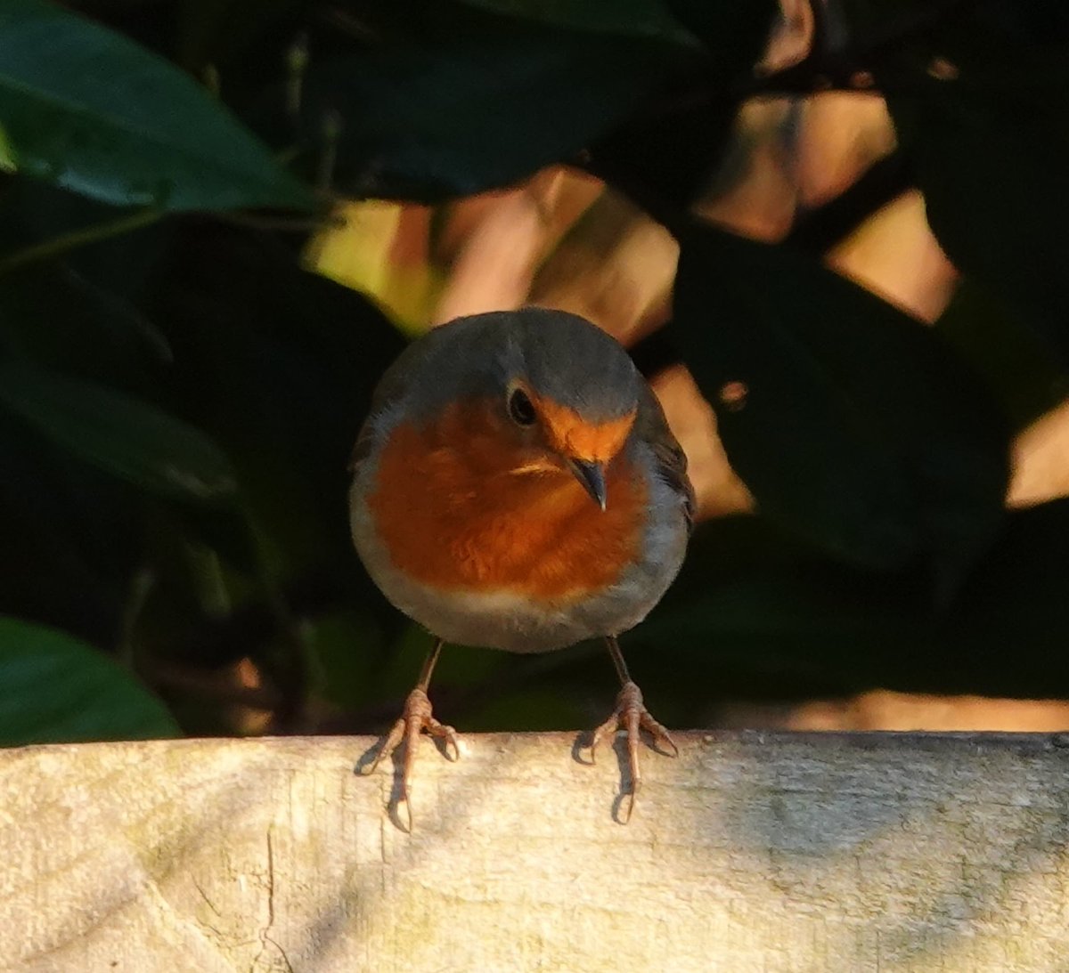 JavaJane🎱 tweet media