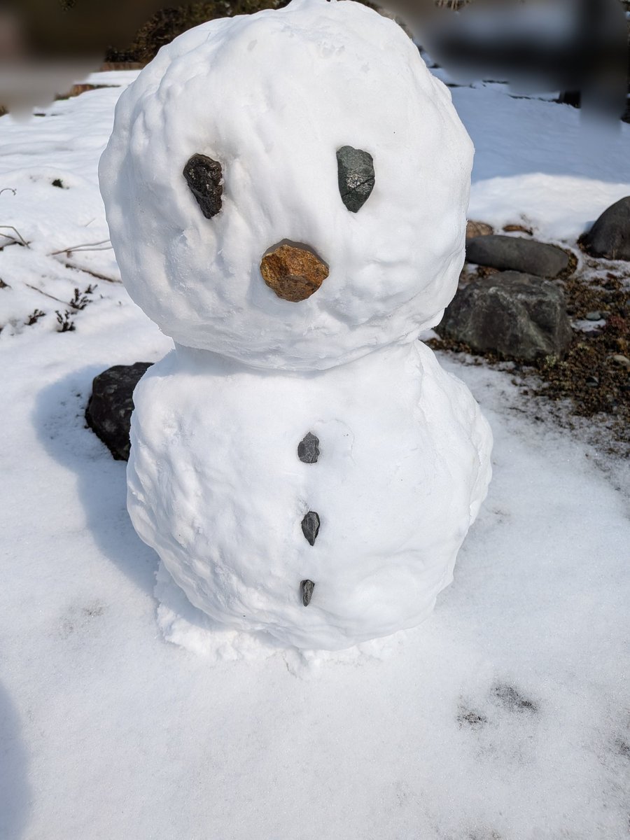 mocotan੯ꔷ̀͡ᓑ\ tweet media