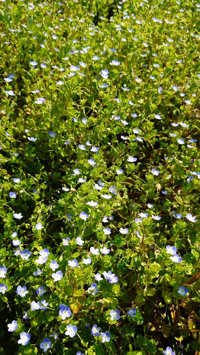 OKUI JUN tweet media