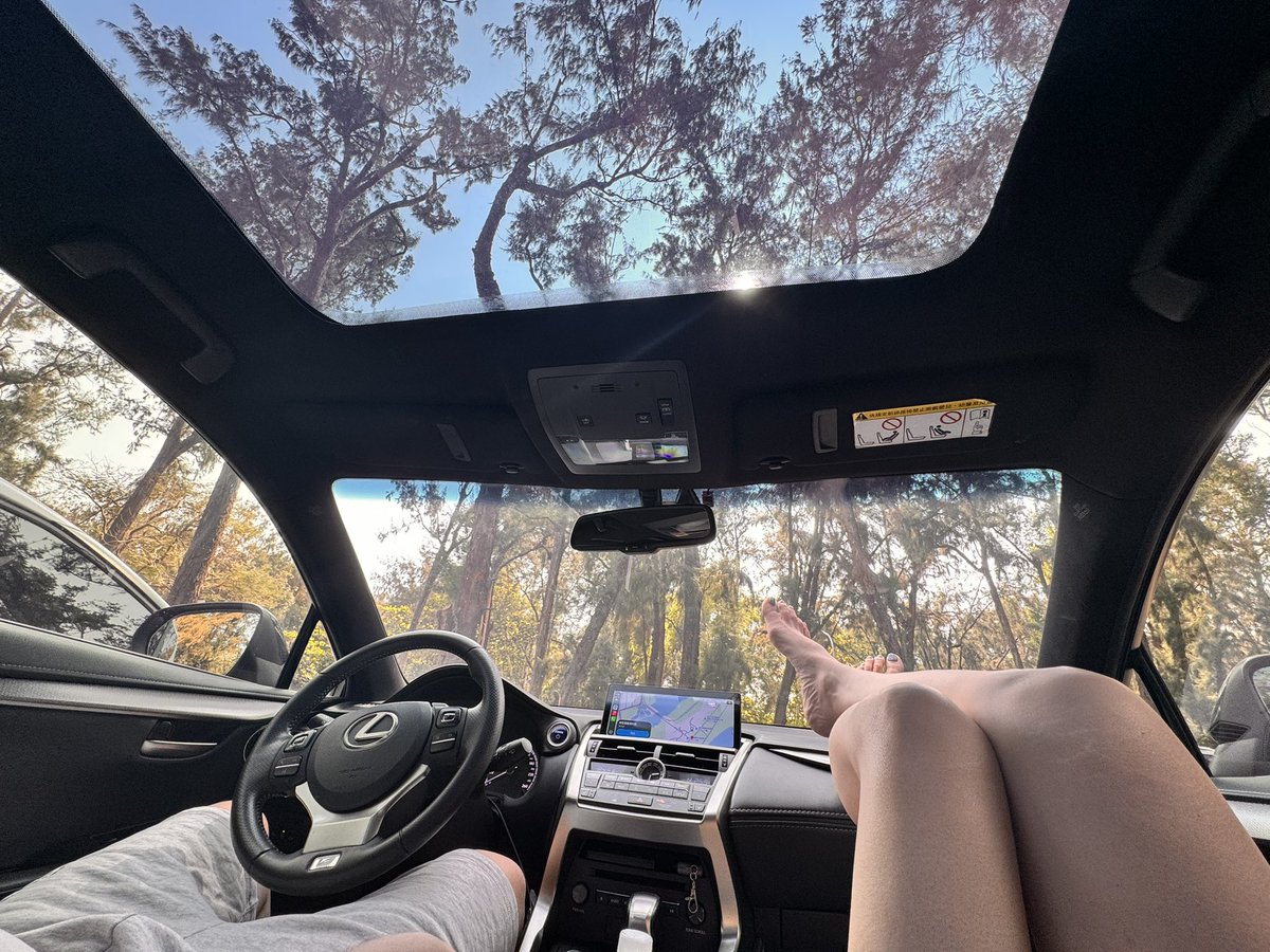 哈巴狗喵喵 tweet media