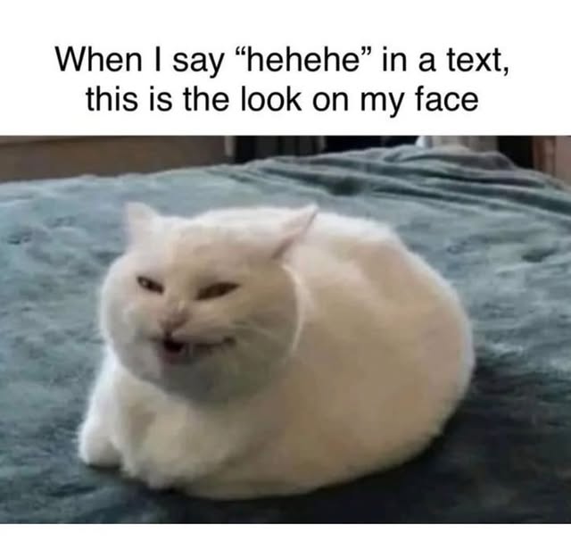 The Pets 𝕏 tweet media