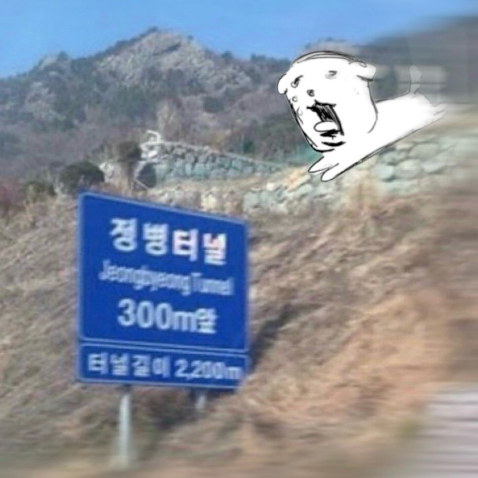 저주인형이 되어버린 저주의 왕