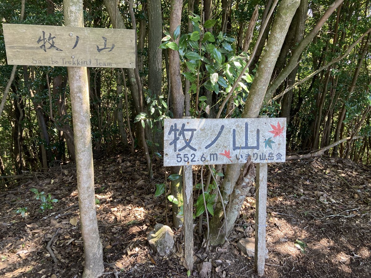 山水苑 tweet media