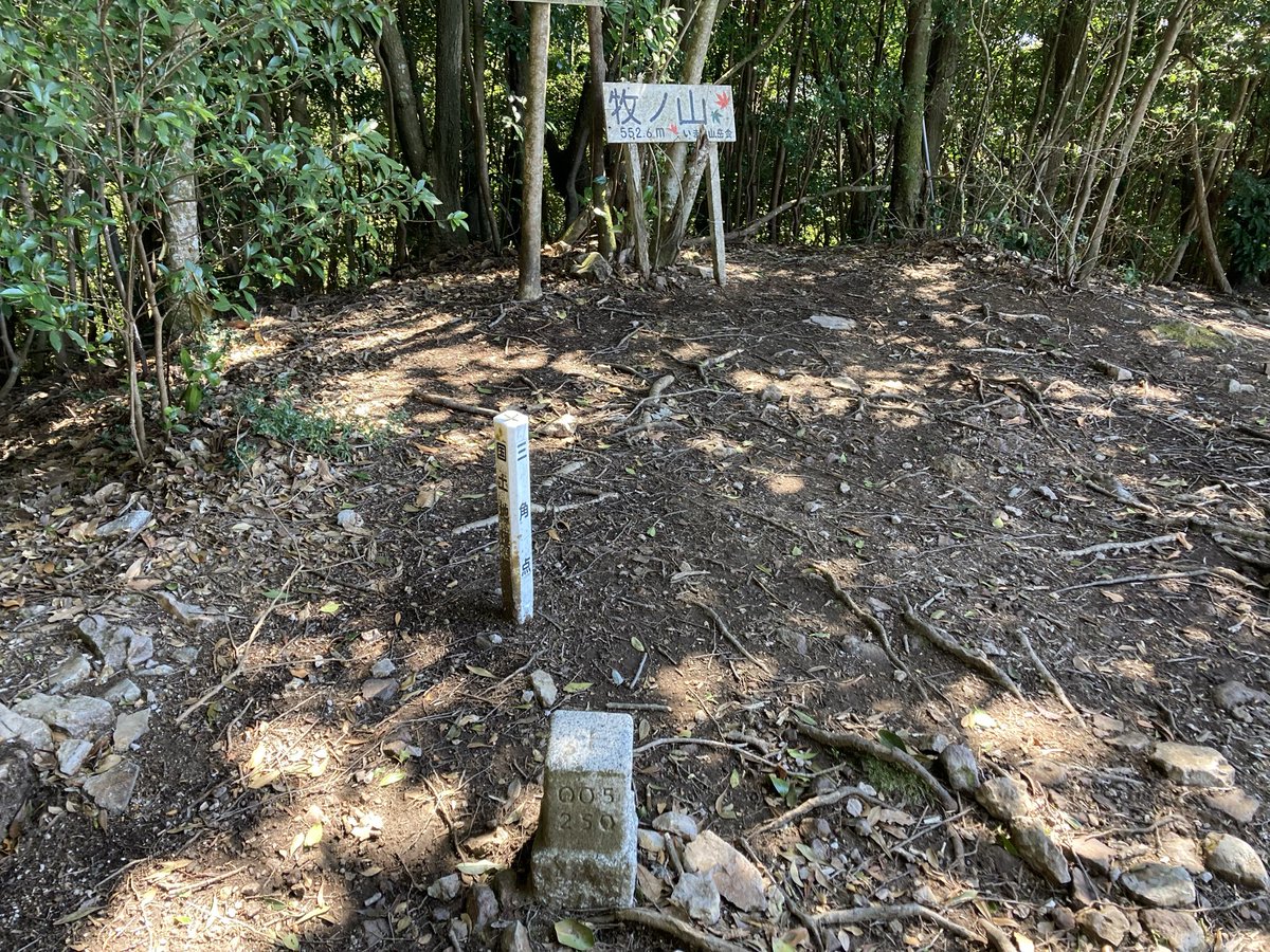 山水苑 tweet media