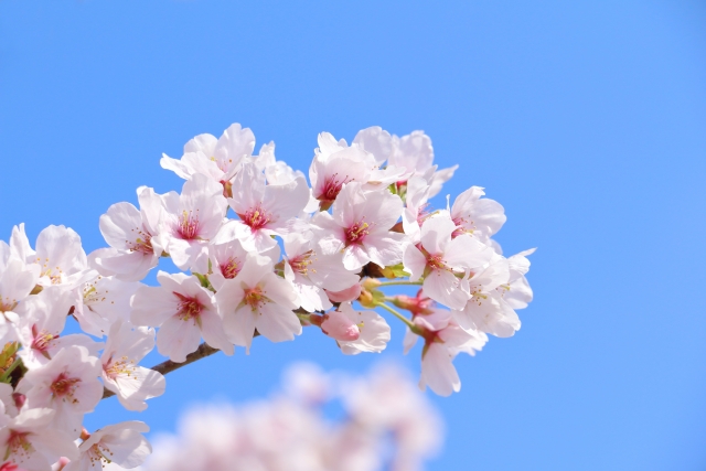 【公式】クリーン計画プロープル株式会社 tweet media