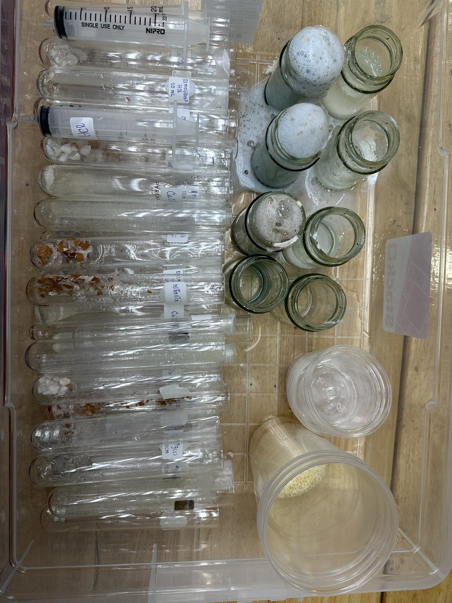 STEPs Biology tweet media