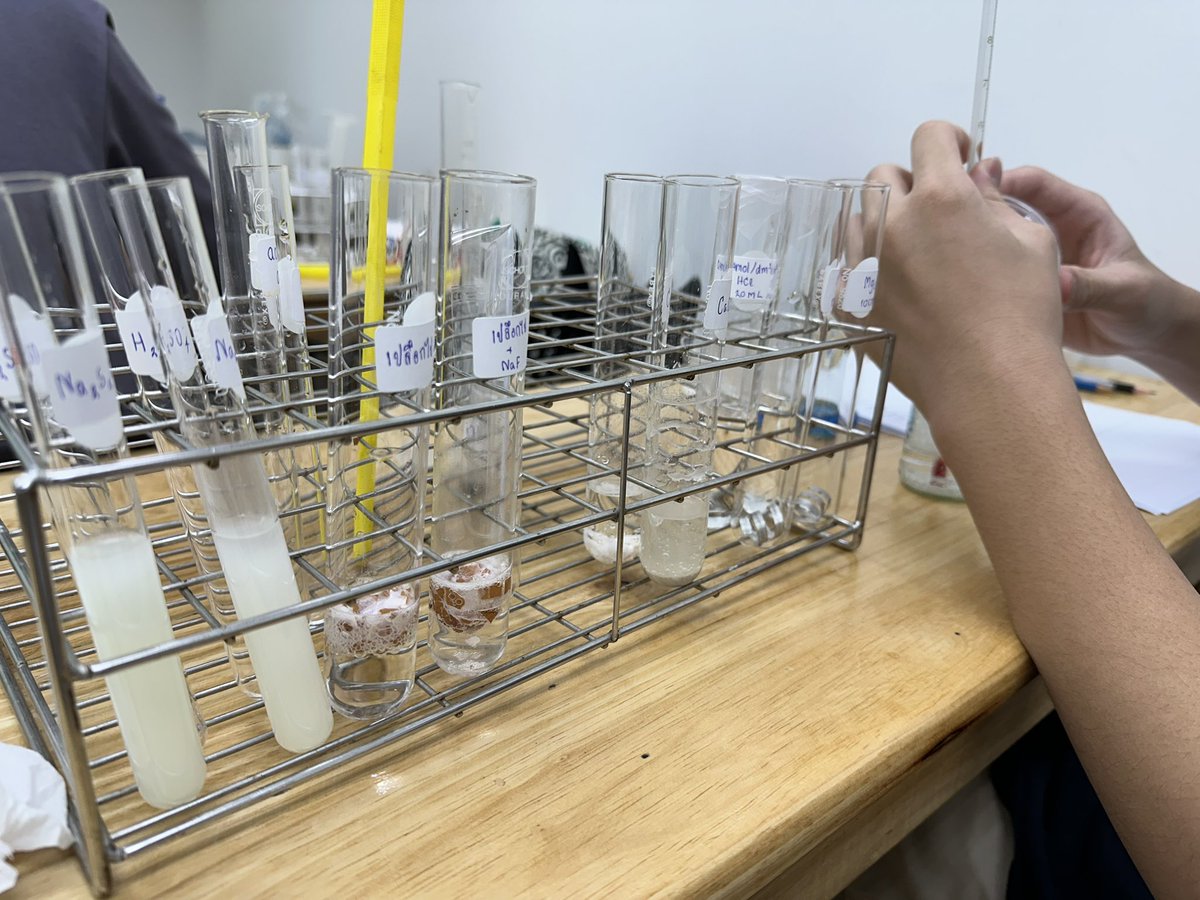 STEPs Biology tweet media