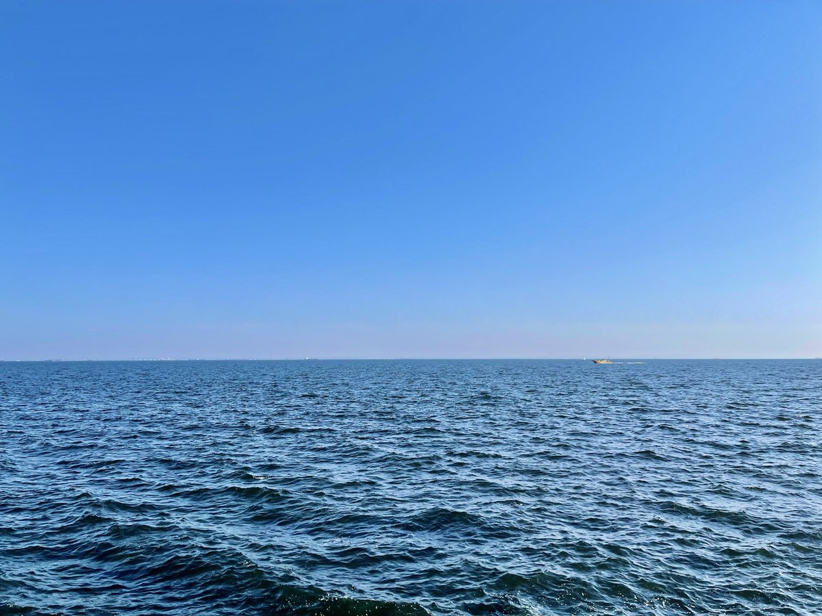 南舘優雄斗(だて) tweet media