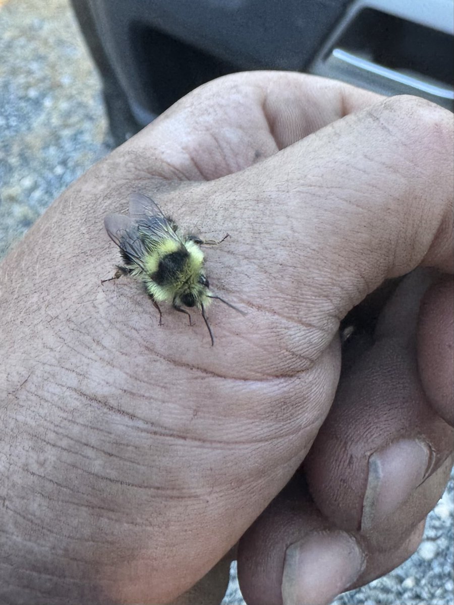 robwormald tweet media