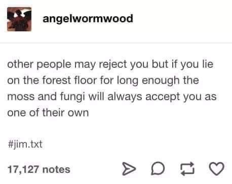 𝖈𝖍𝖆𝖇𝖆𝖟𝖎𝖙𝖊 tweet media