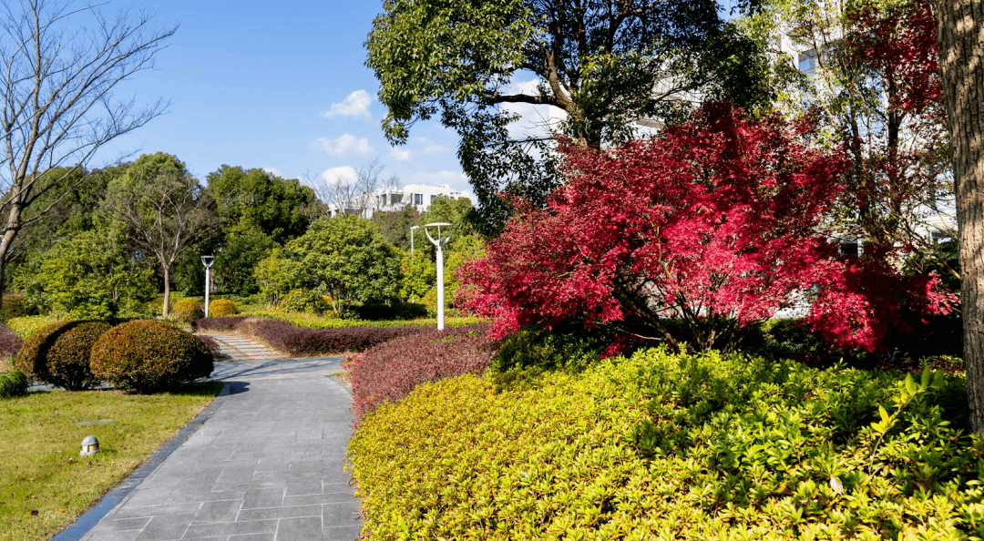 Ras Yago tweet media