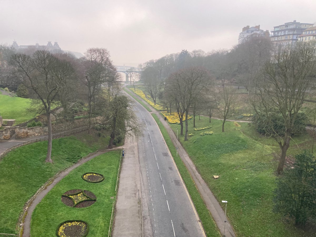 Faith Young Writer tweet media