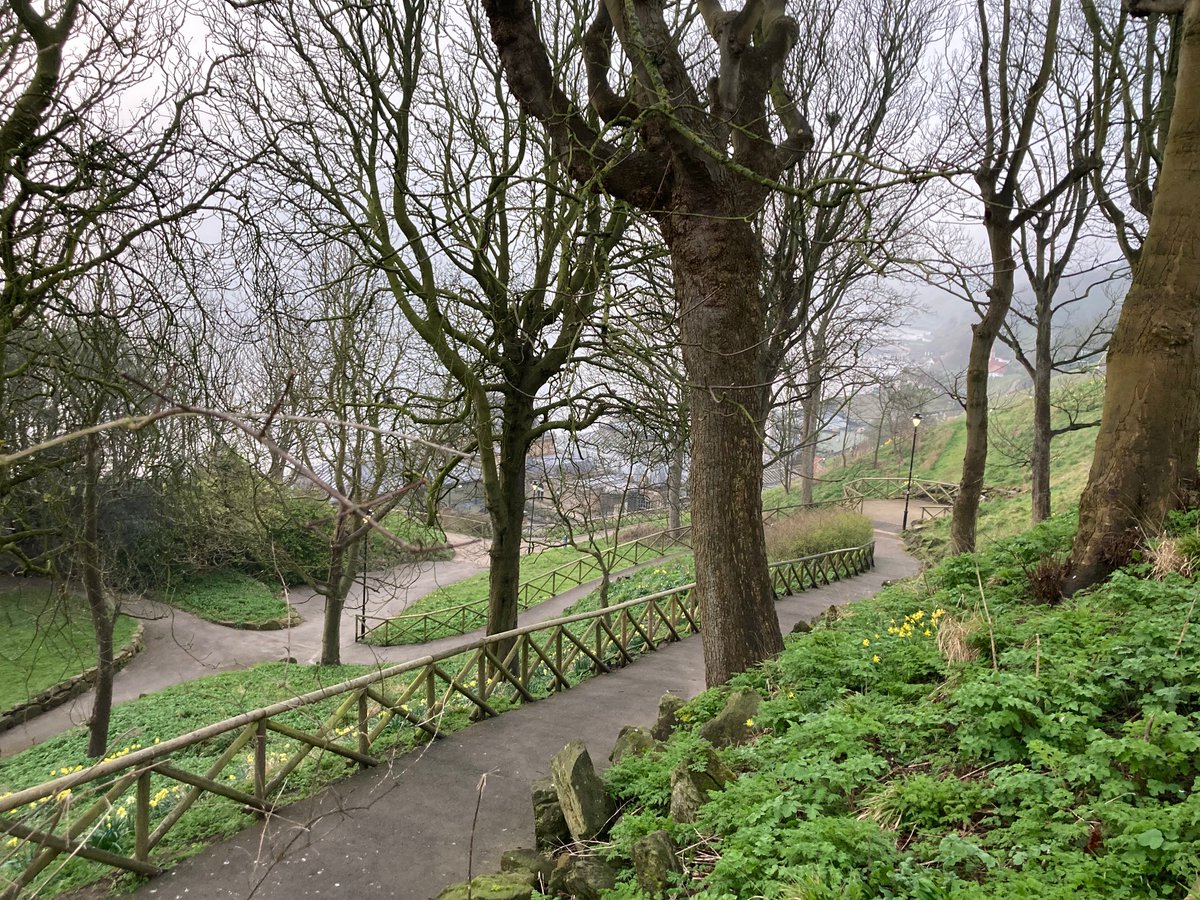 Faith Young Writer tweet media