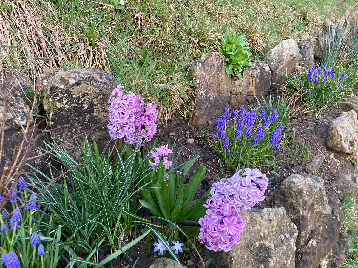 Faith Young Writer tweet media