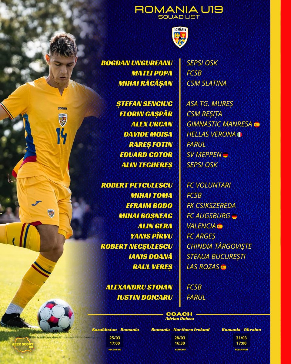 Alex Scout tweet media