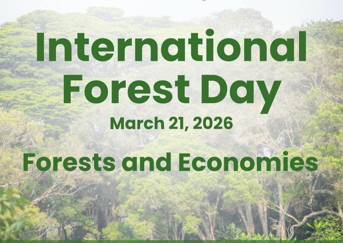 Jinja Fish Festival tweet media