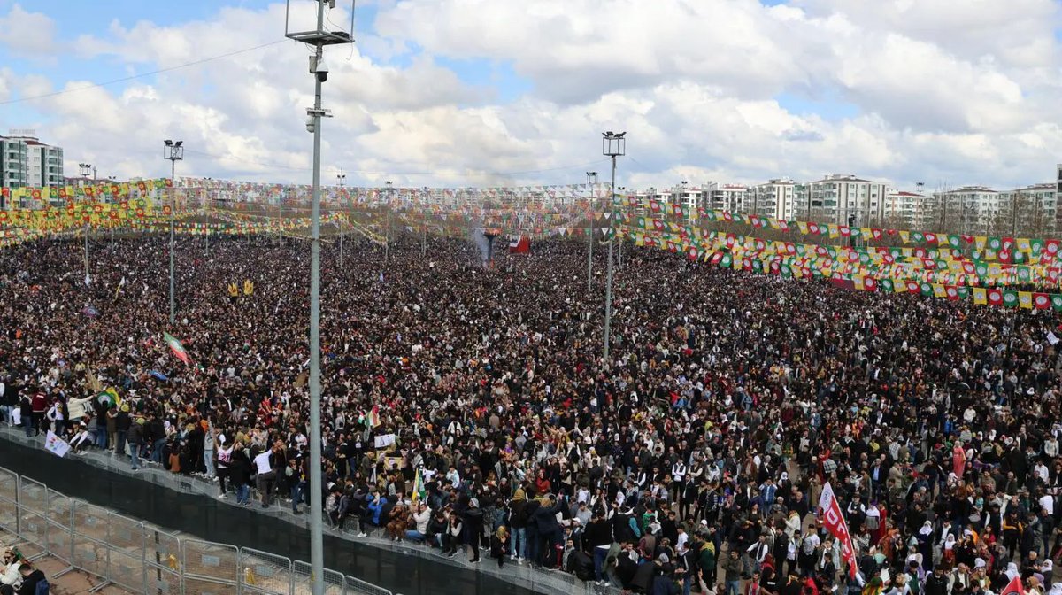 Elif Ekin Saltık tweet media