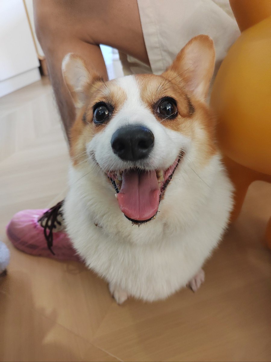 Marker Systems tweet media