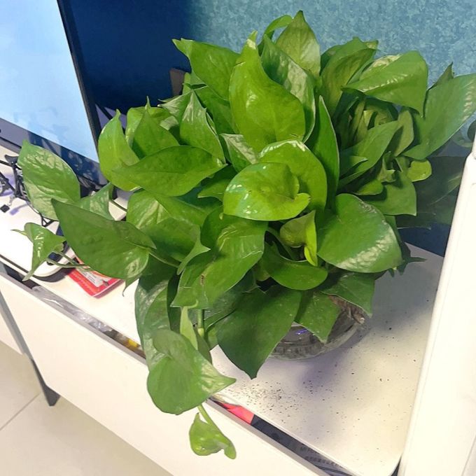 Shawn Frakes tweet media