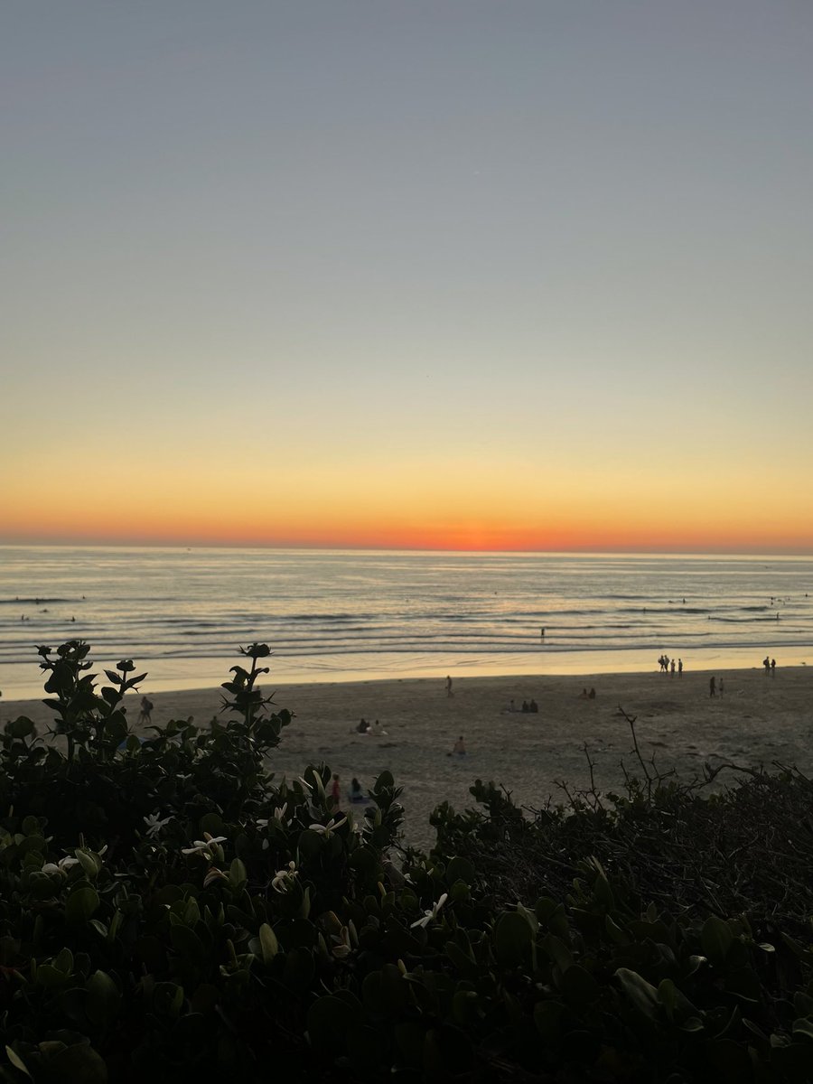 vani 𐙚 tweet media