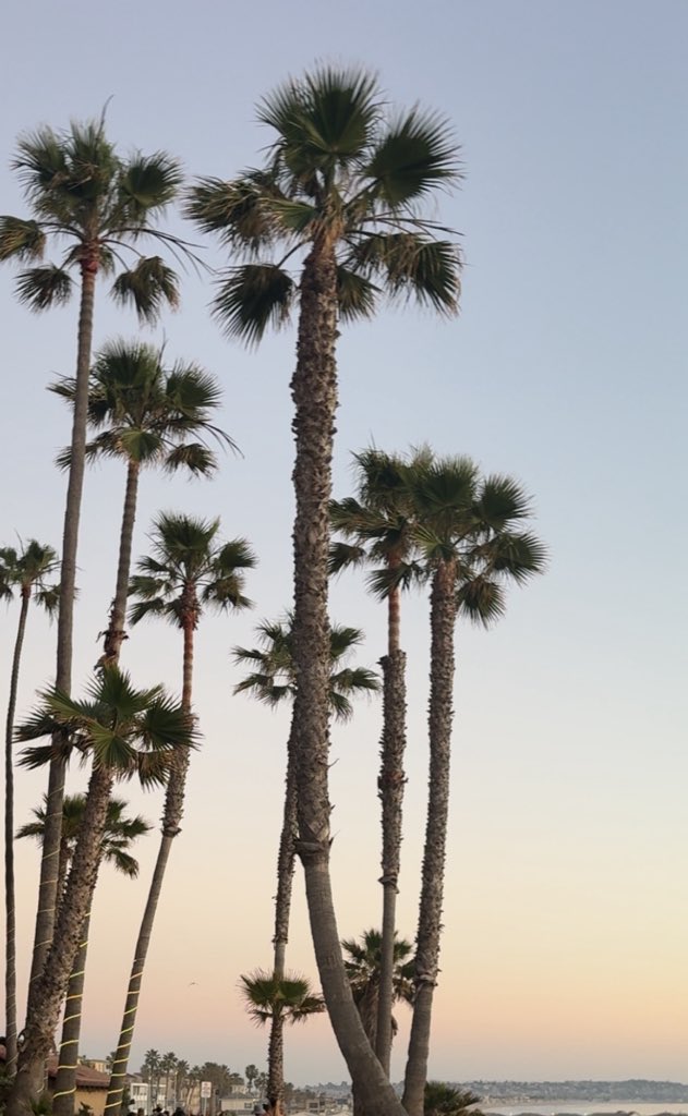 vani 𐙚 tweet media