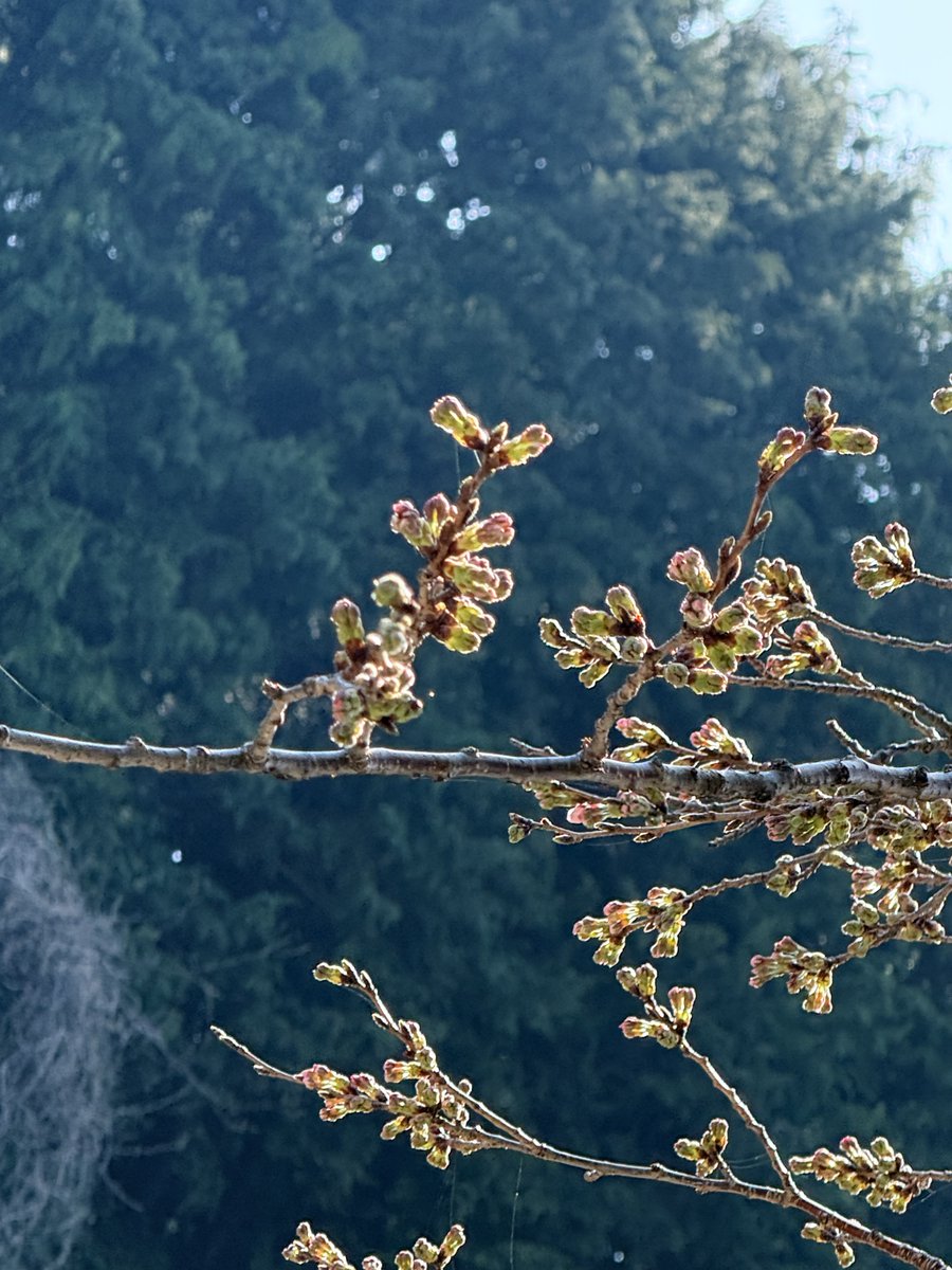 アネスト岩田ターンパイク箱根（箱根ターンパイク株式会社） tweet media