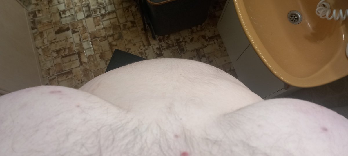 🐷 𝔽𝕝𝕦𝕗𝕗𝕪𝔹𝕖𝕝𝕝𝕪ℍ𝕠𝕘𝟡𝟡 🐷 tweet media