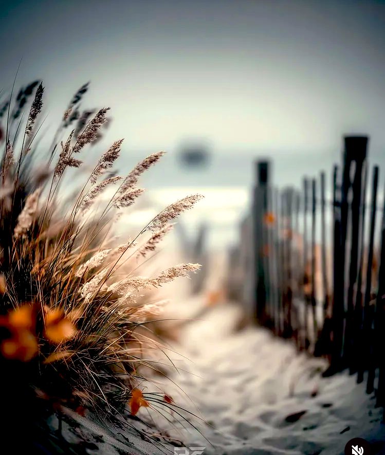 Sonia Álvaro tweet media