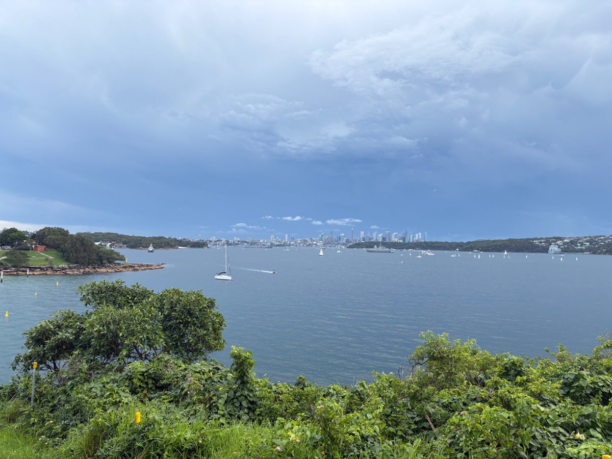 nudie couch surfer tweet media