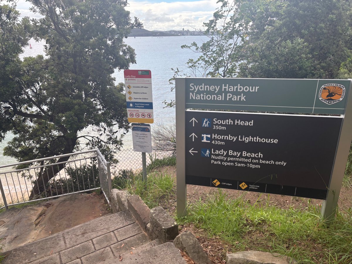 nudie couch surfer tweet media