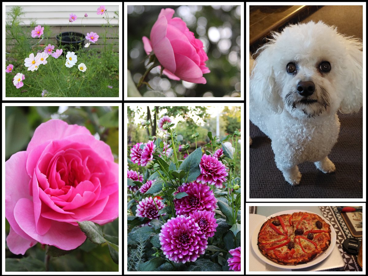 🌱newbrunette tweet media