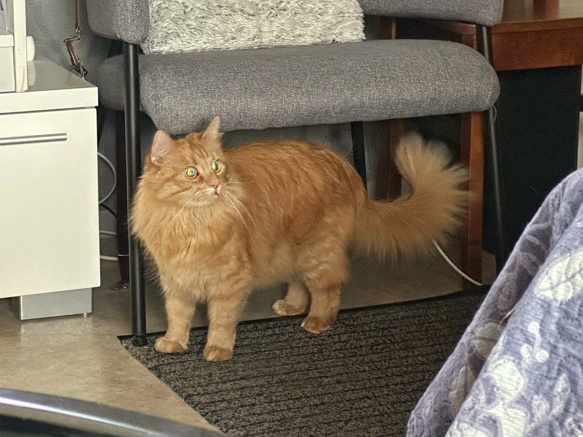 Tiina Naula tweet media