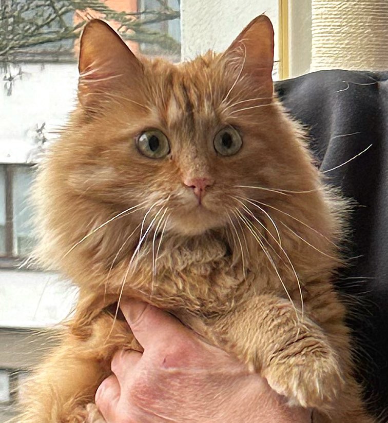 Tiina Naula tweet media