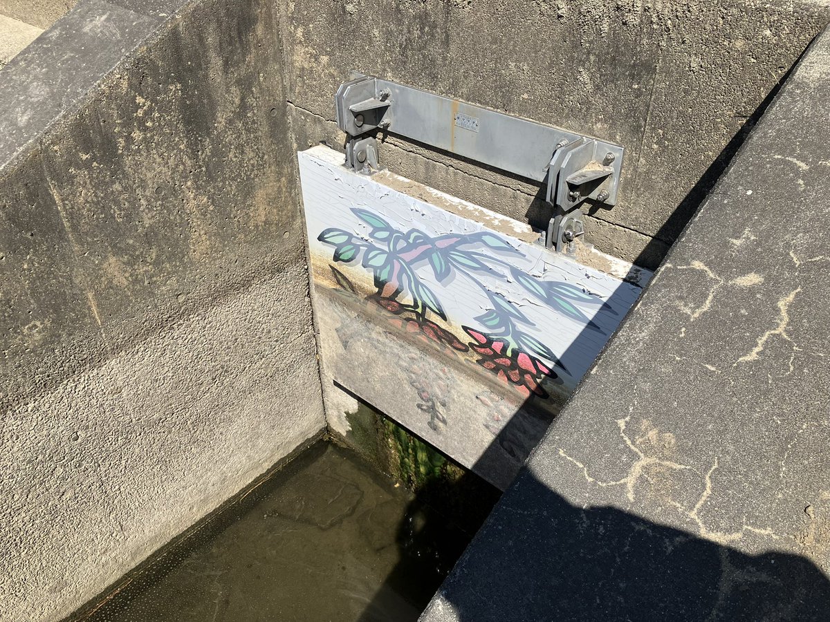 オカザえもん【公式アカウント】 tweet media