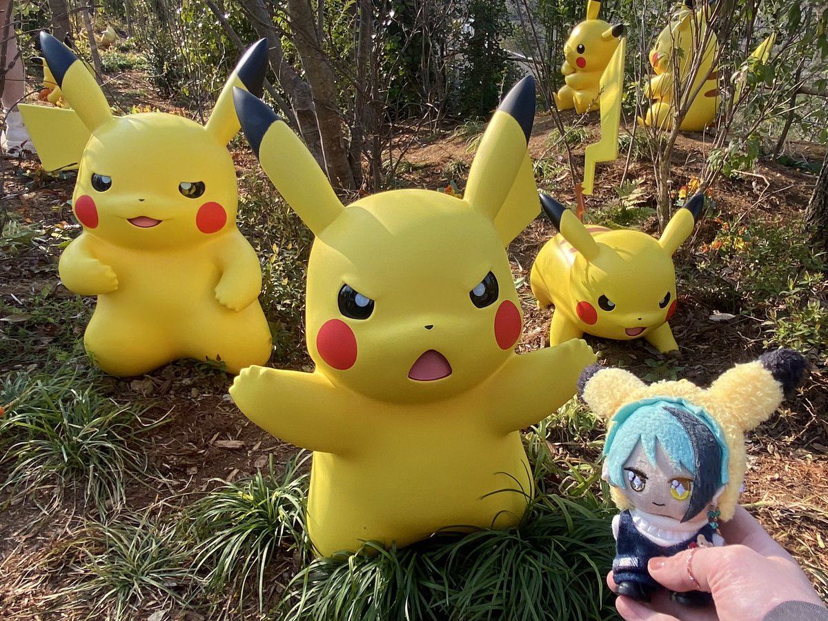 はむはむ🐹 tweet media