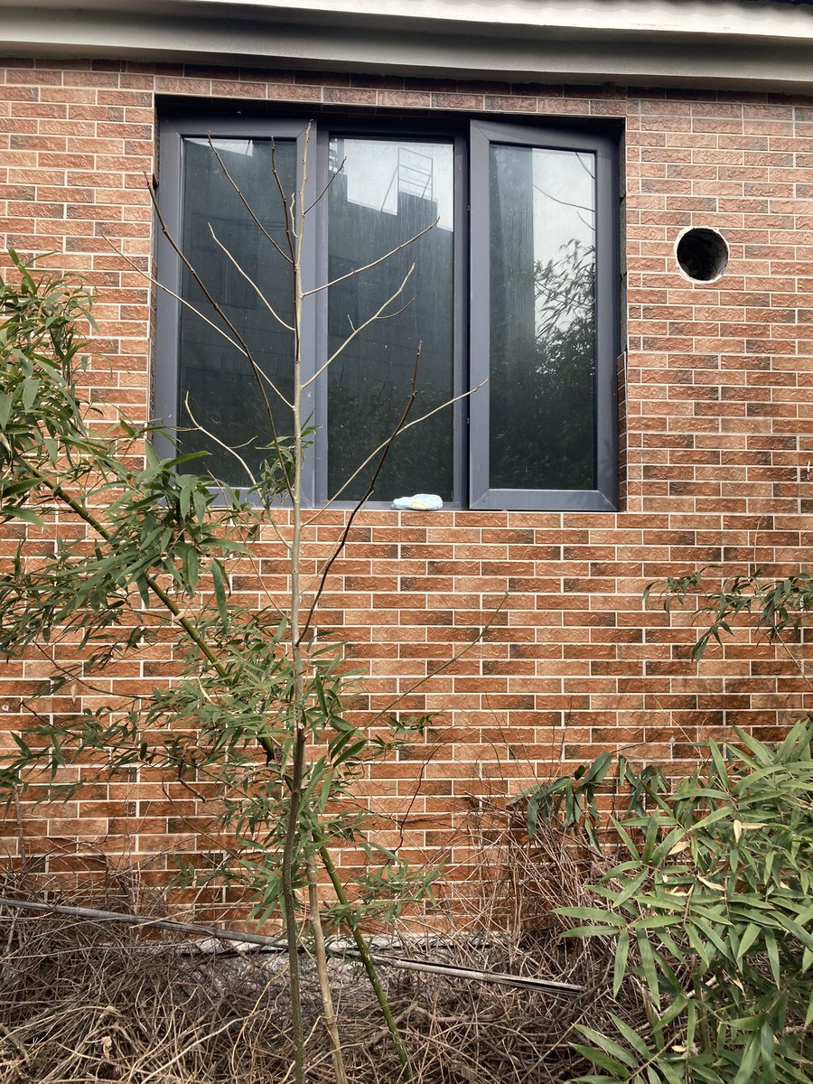 商丘情侣 tweet media