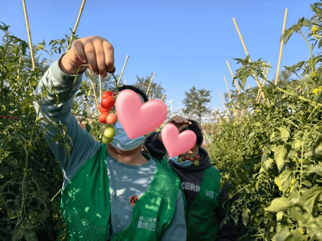 Jose Farias tweet media