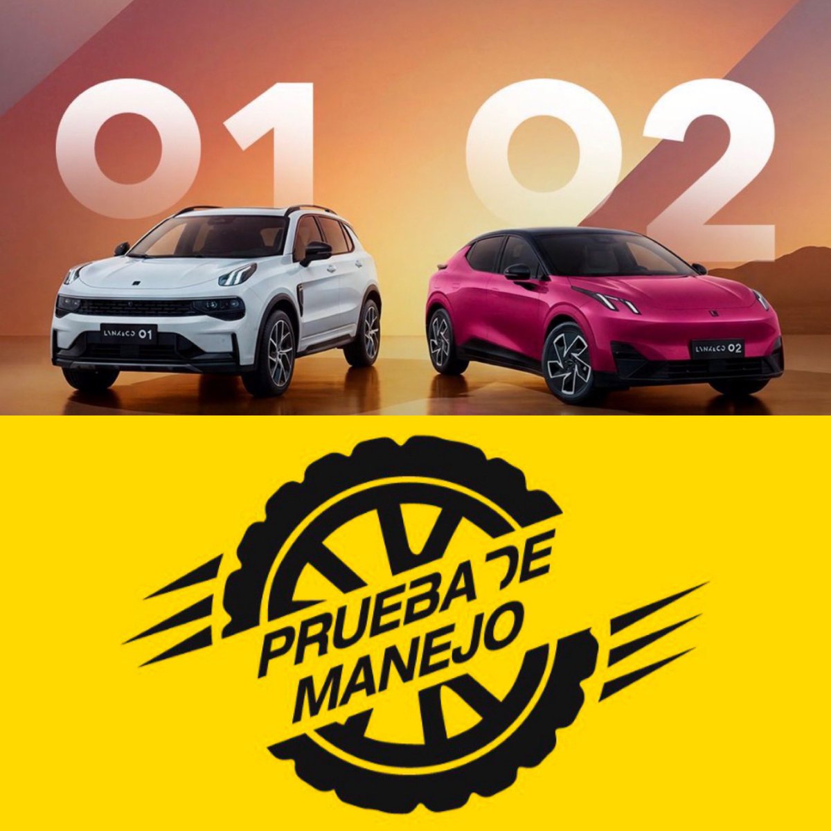 raúlcuriel00 tweet media