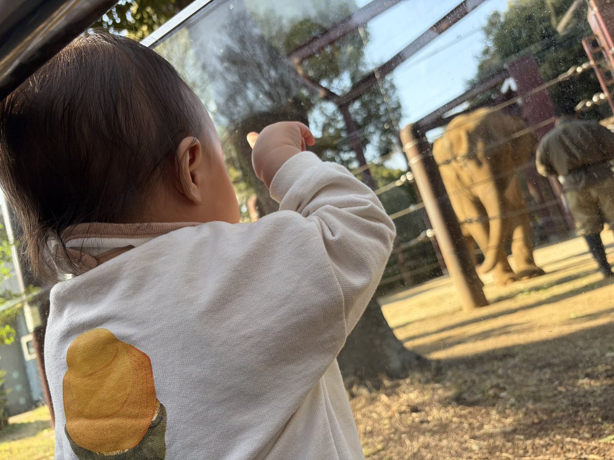 まふぃん tweet media