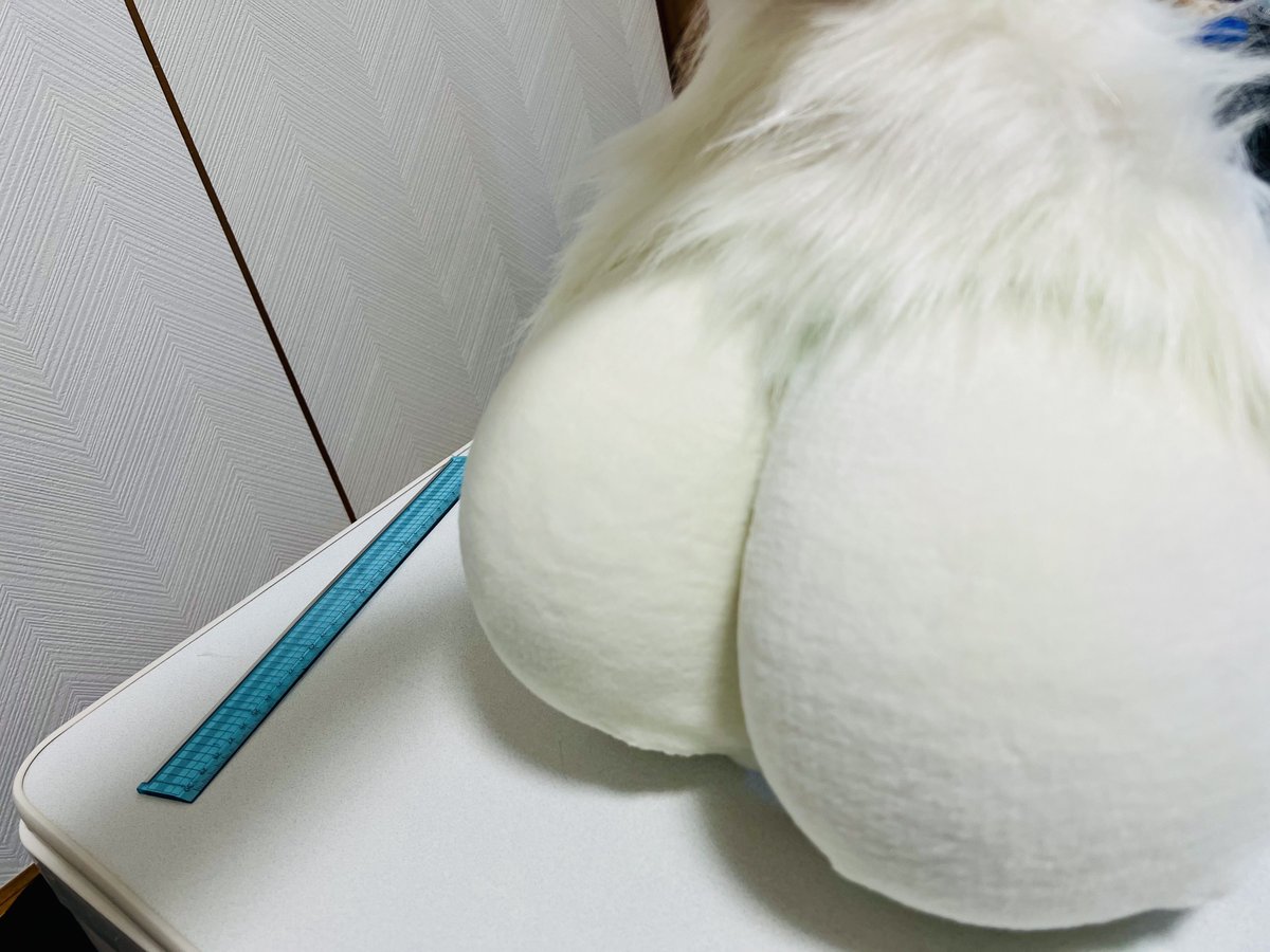 特大ぬこ ⇆ 凍呀 NEXT ？？？ tweet media