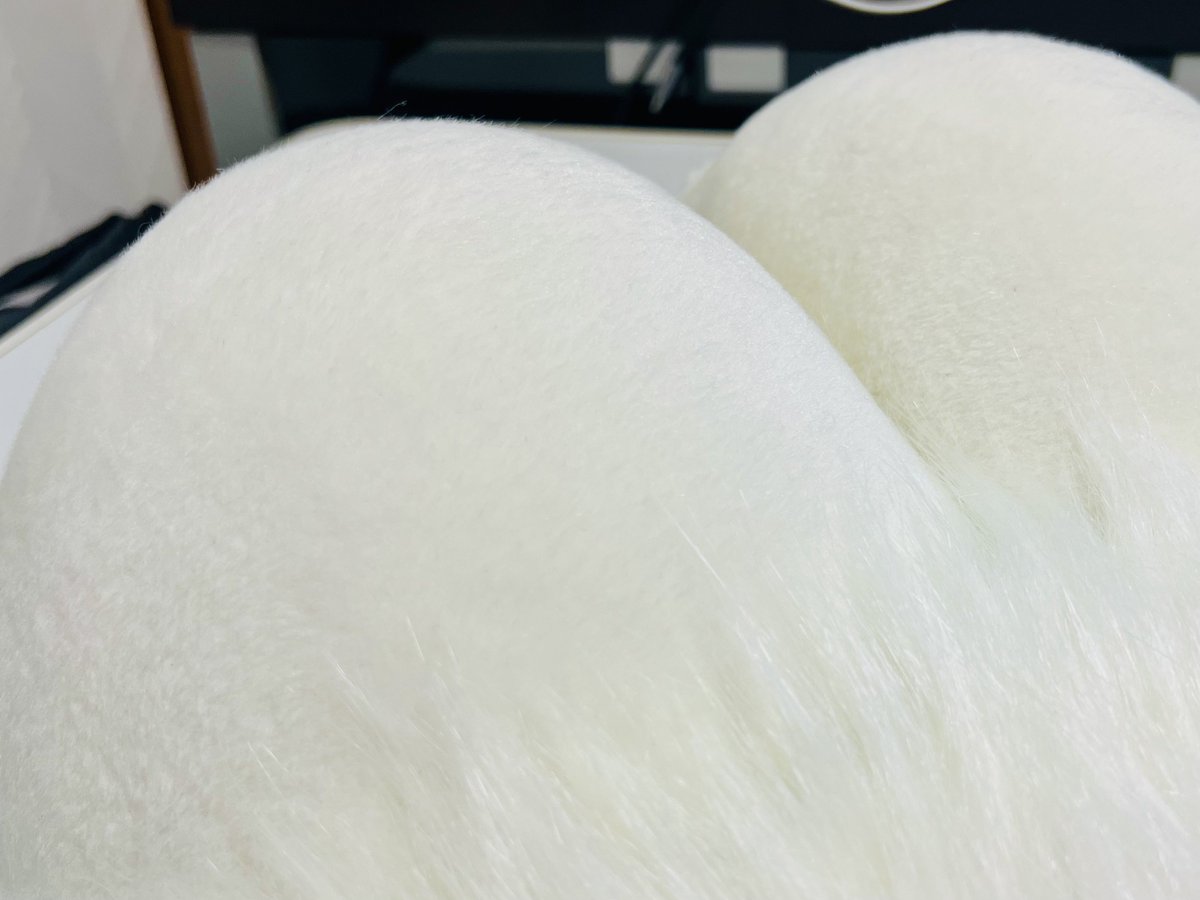 特大ぬこ ⇆ 凍呀 NEXT ？？？ tweet media