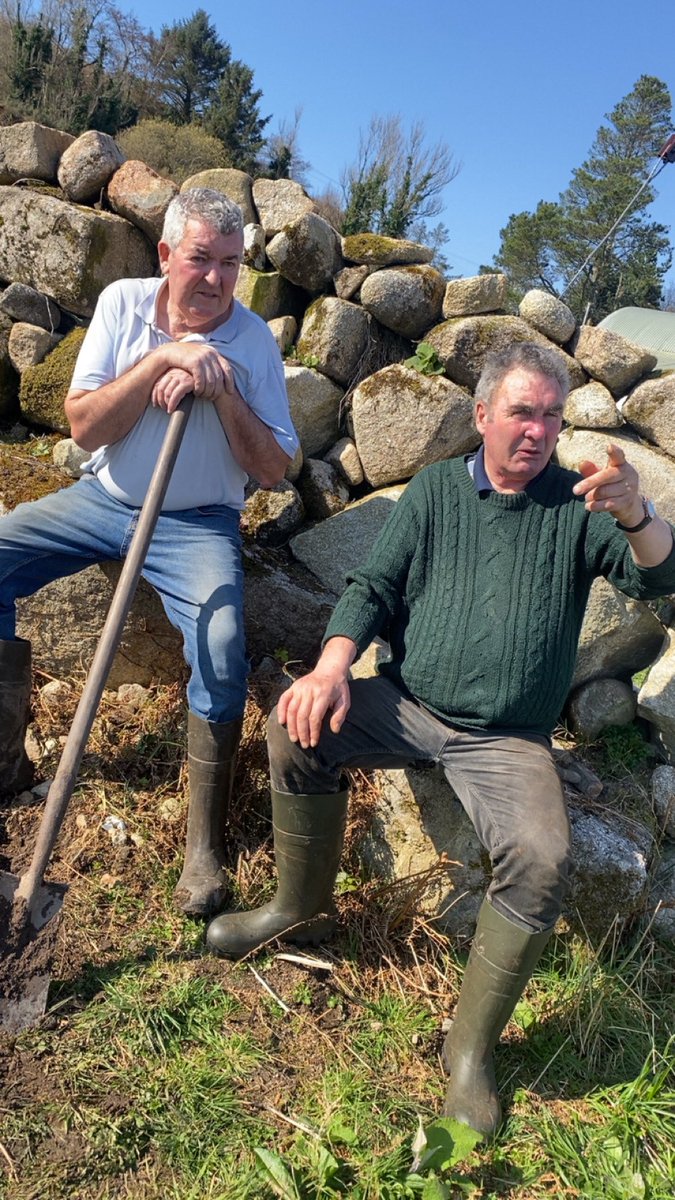 Colm Ó Neasa tweet media