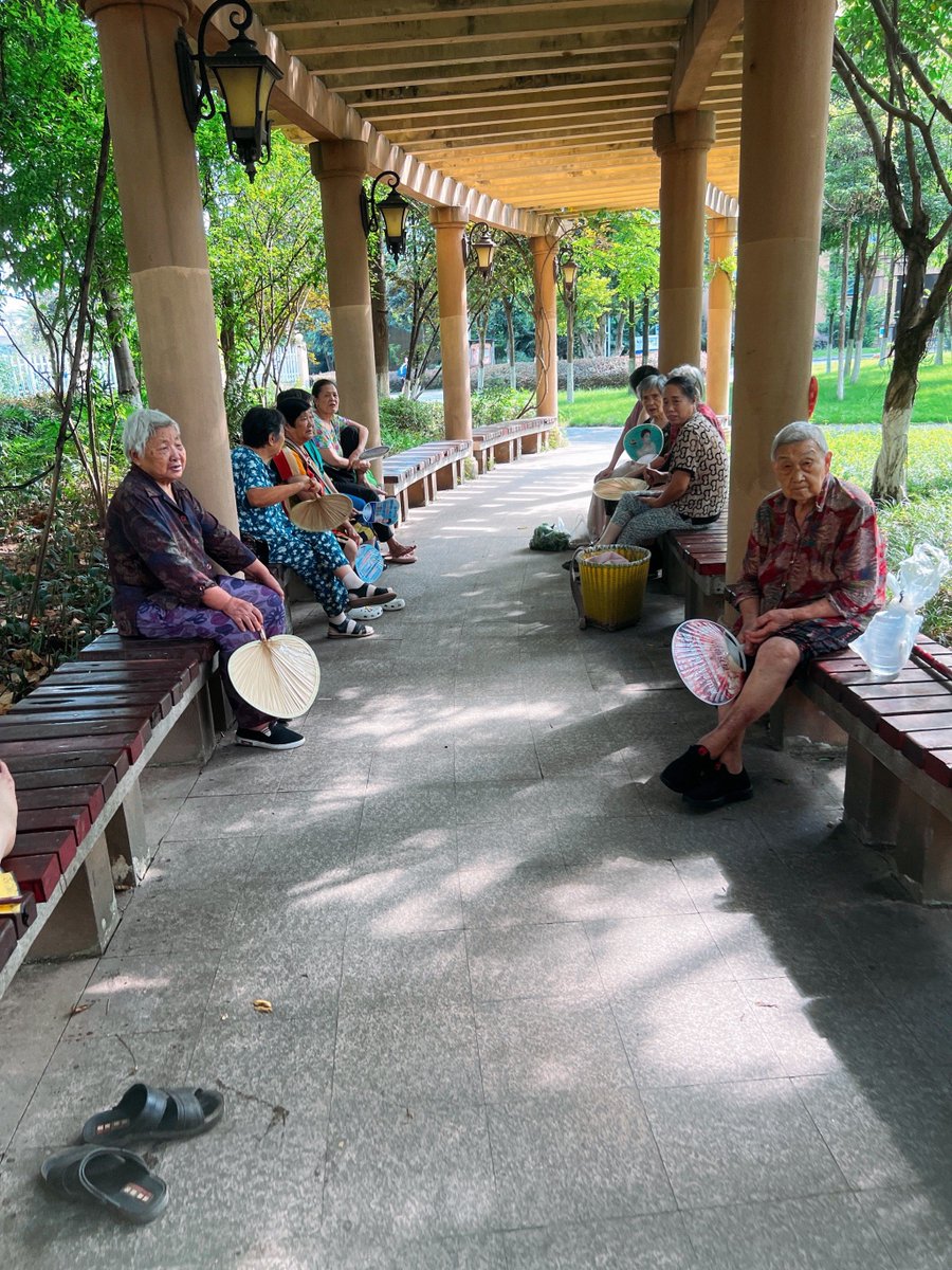 zuga chambers tweet media