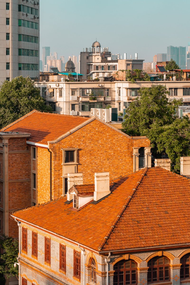 sami altairi tweet media