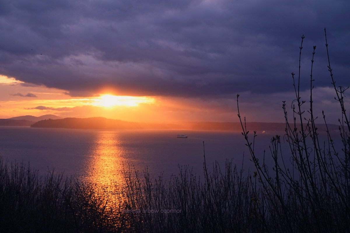 Theresa Arbow-O'Connor tweet media